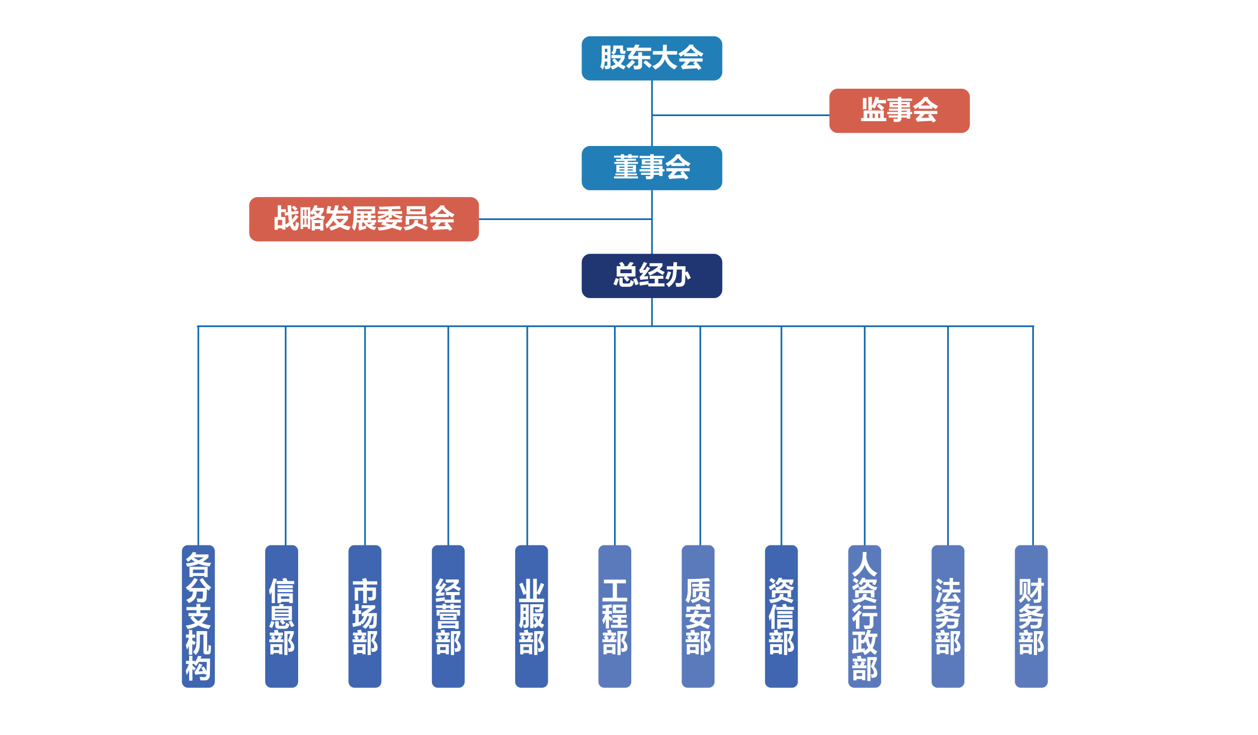 2024組織架構(gòu)圖-01